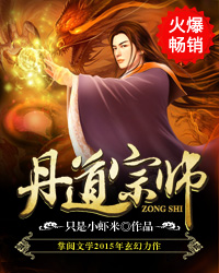 丹道宗师13集