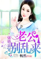 强势锁婚总裁老公别乱来