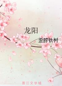 龙阳网