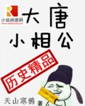 大唐小相公穿越三国