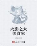 火影之大师小说