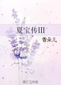 夏宝传3中文网