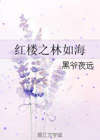 红楼之林如海庶子娘全文免费阅读