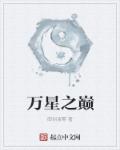 万星宁盐酸莫西沙星片