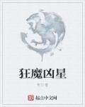 狂摸xiong