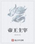 主宰帝经 小说