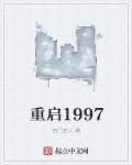 重启1991全文免费阅读