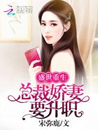 《盛世婚宠:总裁的重生小甜妻》