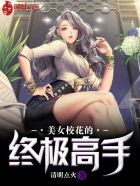 美女校花的终极高手 小说