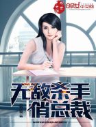 无敌杀手中文版