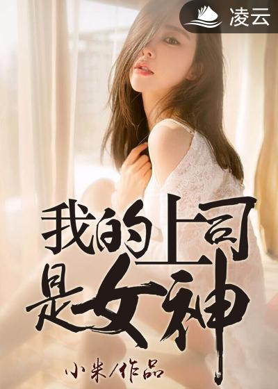 我的上司是女神江阳完结版