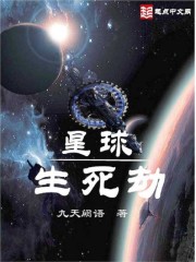 星球生存与建造源质锭