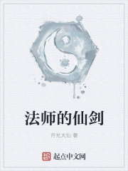 法师的剑小说