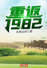 重返1982别人下海我上山