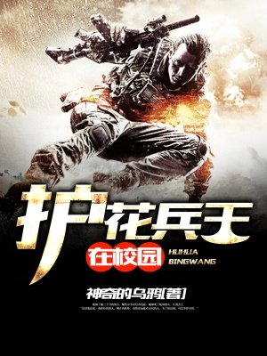 护花兵王叶凌风完整版