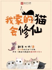 我家的猫会后空翻什么意思