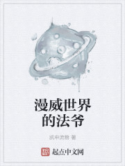 漫威世界的魔法师顶点小说