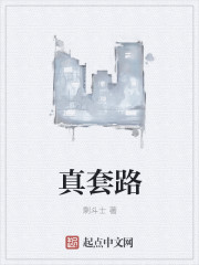 真我gt大师探索版