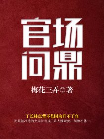 官场问鼎丁长林完整版