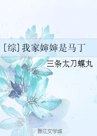 [综]我家婶婶是马丁