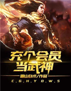 充个会员当武神小说正版