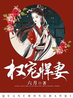 权宠王妃小说