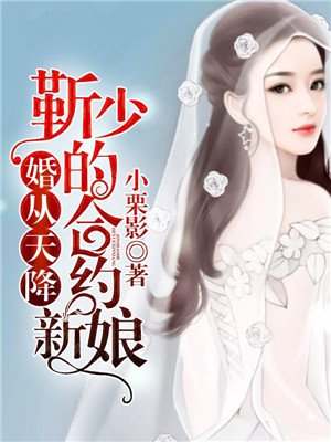 婚从天降 陆少的天价