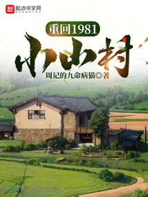 重回1981小山村周怀安杨春燕txt