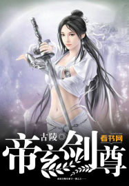 帝师ds