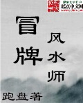 冒牌风水师by血儿txt