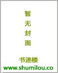 极品护花保镖陈佳豪小说下载