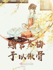 赠君以明月