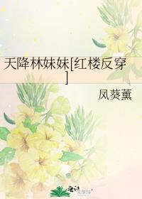 天降林妹妹[红楼反穿]