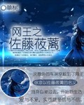 网球王子小说之同人三部曲