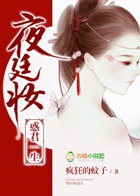 小说夜廷妆惑君一生