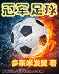 冠军足球经理2007中文版