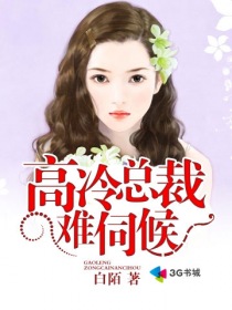 高冷总裁爱上女秘书