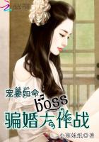 宠婚如玉boss宠妻无度