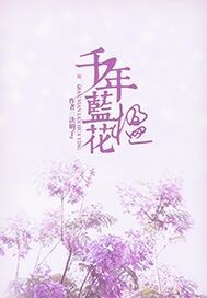 蓝花楹的介绍